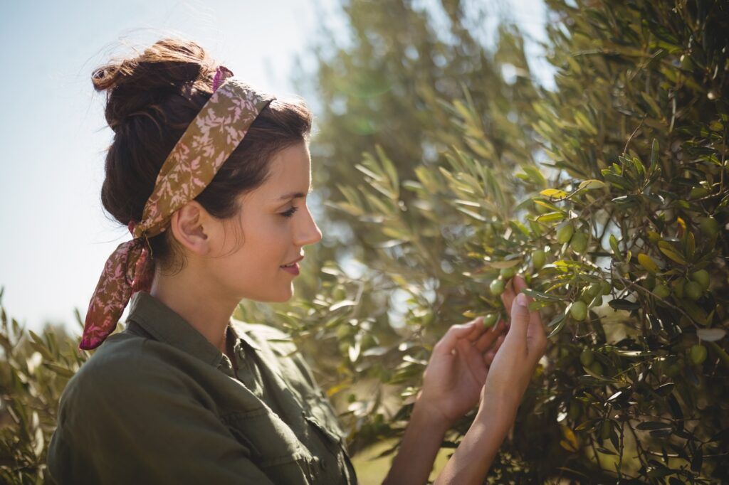 Woman holding olive tree at farm on sunny day